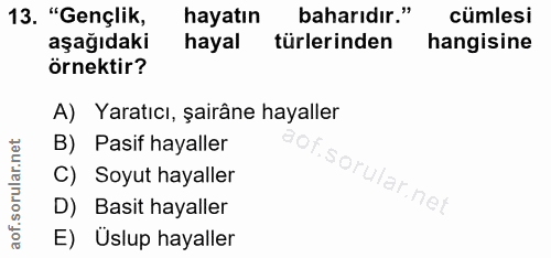13. soru: "Gençlik, hayatın baharıdır." cümlesi aşağıdaki hayal türlerinden hangisine örnektir? A) Yaratıcı, şairâne hayaller B…