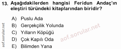 13. soru: Aşağıdakilerden hangisi Feridun Andaç'ın eleştiri türündeki kitaplarından biridir? A) Puslu Ada B) Gerçekçilik Yolund…