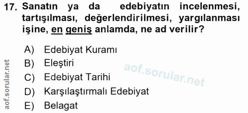 17. soru: Sanatın ya da edebiyatın incelenmesi, tartışılması, değerlendirilmesi, yargılanması işine, en genis anlamda, ne ad ve…