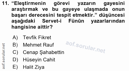 11. soru: "Eleştirmenin görevi yazarın gayesini araştırmak ve bu gayeye ulaşmada onun başarı derecesini tespit etmektir." düşün…