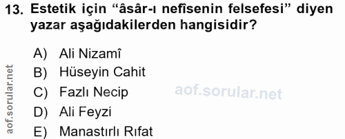 13. soru: Estetik için "âsâr-ı nefisenin felsefesi" diyen yazar aşağıdakilerden hangisidir? A) Ali Nizamî B) Hüseyin Cahit C) F…