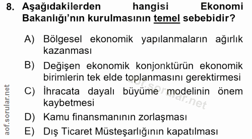 8. soru: Aşağıdakilerden hangisi Ekonomi Bakanlığı'nın kurulmasının temel sebebidir? A) Bolgesel ekonomik yapılanmaların ağırl…