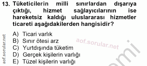 13. soru: Tüketicilerin milli sinirlardan dışarıya çıktığı, hizmet sağlayıcılarının ise hareketsiz kaldığı uluslararası hizmetl…