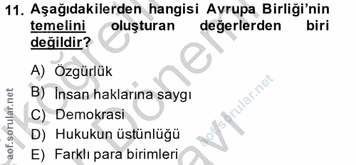11. soru: Aşağıdakilerden hangisi Avrupa Birliği'nin temelini oluşturan değerlerden biri değildir? A) Ozgürlük B) Insan hakları…
