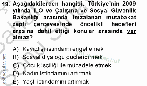 19. soru: Aşağıdakilerden hangisi, Türkiye'nin 2009 yılında ILO ve Çalışma ve Sosyal Güvenlik Bakanlığı arasında imzalanan muta…