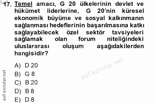 17. soru: Temel amacı, G 20 ülkelerinin devlet ve hükümet liderlerine, G 20'nin küresel ekonomik büyüme ve sosyal kalkınmanın s…