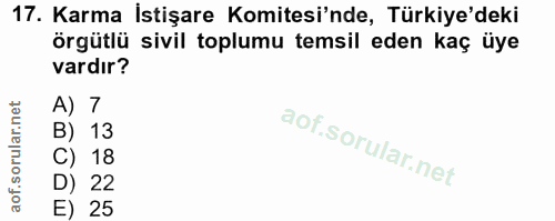 17. soru: Karma İstişare Komitesi'nde, Türkiye'deki örgütlü sivil toplumu temsil eden kaç üye vardır? 7 13 18 22 E) 25