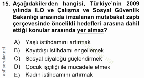 15. soru: Aşağıdakilerden hangisi, Türkiye'nin 2009 yılında ILO ve Çalışma ve Sosyal Güvenlik Bakanlığı arasında imzalanan muta…