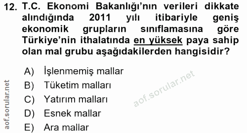 12. soru: T.C. Ekonomi Bakanlığı'nın verileri dikkate alındığında 2011 yılı itibariyle geniş ekonomik grupların sınıflamasına g…