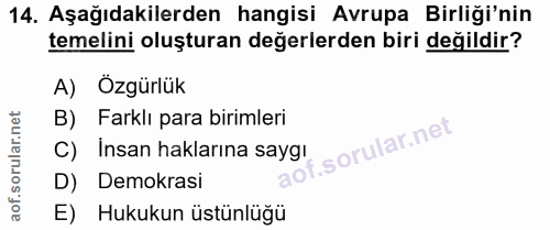 14. soru: Aşağıdakilerden hangisi Avrupa Birliği'nin temelini oluşturan değerlerden biri değildir? A) Özgürlük B) Farklı para b…