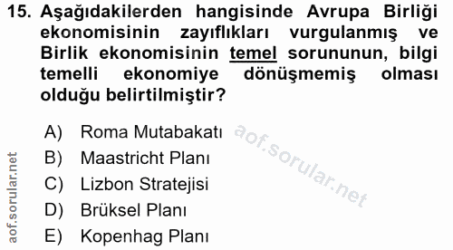 15. soru: Aşağıdakilerden hangisinde Avrupa Birliği ekonomisinin zayıflıkları vurgulanmış ve Birlik ekonomisinin temel sorununu…