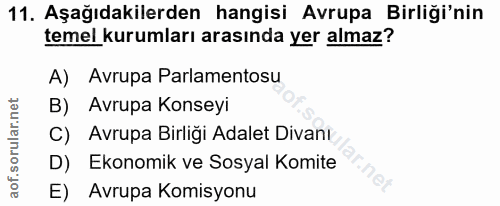 11. soru: Aşağıdakilerden hangisi Avrupa Birliği'nin temel kurumları arasında yer almaz? A) Avrupa Parlamentosu B) Avrupa Konse…