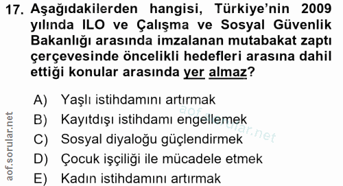 17. soru: Aşağıdakilerden hangisi, Türkiye'nin 2009 yılında ILO ve Çalışma ve Sosyal Güvenlik Bakanlığı arasında imzalanan muta…