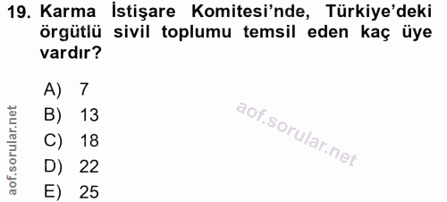 19. soru: Karma İstişare Komitesi'nde, Türkiye'deki örgütlü sivil toplumu temsil eden kaç üye vardır? A) 7 B) 13 C) 18 D) 22 E) 25