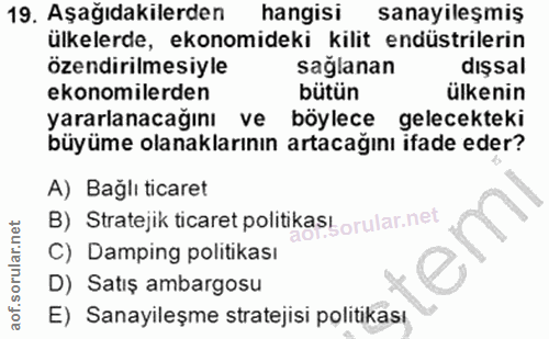 19. soru: Aşağıdakilerden hangisi sanayileşmiş ülkelerde, ekonomideki kilit endüstrilerin özendirilmesiyle sağlanan dışsal ekon…