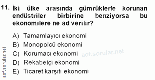 11. soru: iki ülke arasında gümrüklerle korunan endüstriler birbirine benziyorsa ekonomilere ne ad verilir? A) Tamamlayıcı ekon…