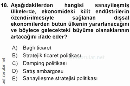 18. soru: Aşağıdakilerden hangisi sanayileşmiş ülkelerde, ekonomideki kilit endüstrilerin özendirilmesiyle sağlanan dışsal ekon…