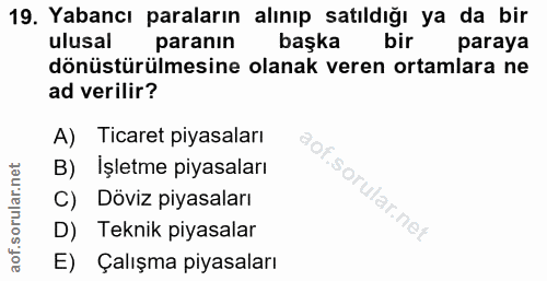 19. soru: Yabancı paraların alınıp satıldığı ya da bir ulusal paranın başka bir paraya dönüstürülmesine olanak veren ortamlara…