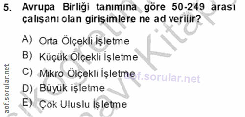 5. soru: Avrupa Birliği tanımina göre 50-249 arasi çalışanı olan girişimlere ne ad verilir? A) Orta Ölçekli işletme B) Küçük Ö…