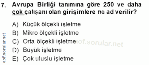 7. soru: Avrupa Birliği tanımına göre 250 ve daha çok çalışanı olan girişimlere ne ad verilir? A) Küçük ölçekli işletme B) Mik…