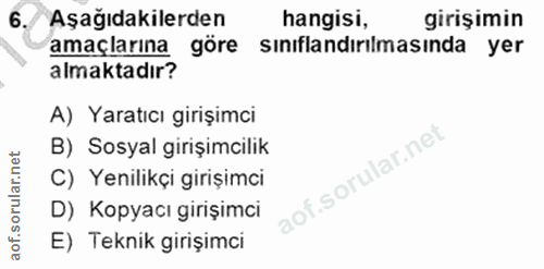 6. soru: Aşağıdakilerden hangisi, girişimin amaçlarına göre sınıflandırılmasında yer almaktadır? A) Yaratıcı girişimci B) Sosy…