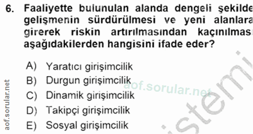 6. soru: Faaliyette bulunulan alanda dengeli şekilde gelişmenin sürdürülmesi ve yeni alanlara girerek riskin artırılmasından k…