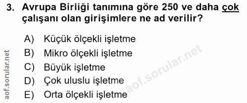 3. soru: Avrupa Birliği tanımına göre 250 ve daha çok çalışanı olan girişimlere ne ad verilir? A) Küçük ölçekli işletme B) Mik…