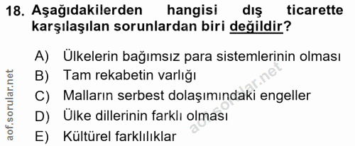 18. soru: Aşağıdakilerden hangisi dış ticarette karşılaşılan sorunlardan biri değildir? A) Ülkelerin bağımsız para sistemlerini…