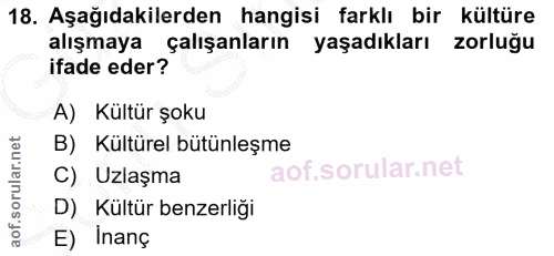 18. soru: Aşağıdakilerden hangisi farklı bir kültüre alışmaya çalışanların yaşadıkları zorluğu ifade eder? A) Kultür şoku B) Kü…