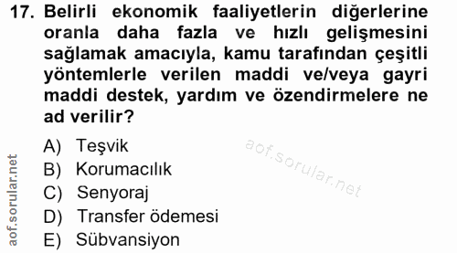 17. soru: Belirli ekonomik faaliyetlerin diğerlerine oranla daha fazla ve hızlı gelişmesini sağlamak amacıyla, kamu tarafından…