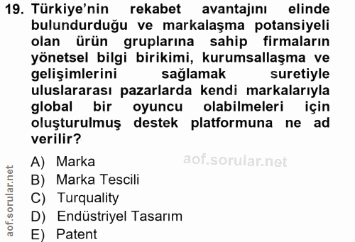 19. soru: Türkiye'nin rekabet avantajını elinde bulundurduğu ve markalaşma potansiyeli olan ürün gruplarına sahip firmaların yö…