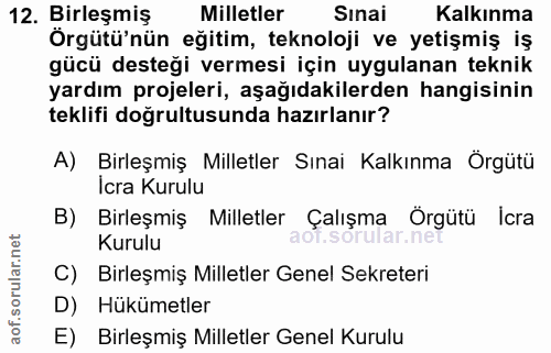 12. soru: Birleşmiş Milletler Sinai Kalkınma Örgütü'nün eğitim, teknoloji ve yetişmiş iş gücü desteği vermesi için uygulanan te…