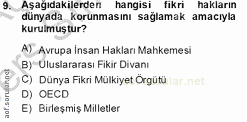 9. soru: Aşağıdakilerden hangisi fikri hakların dünyada korunmasını sağlamak amacıyla kurulmuştur? A) Avrupa İnsan Hakları Mah…
