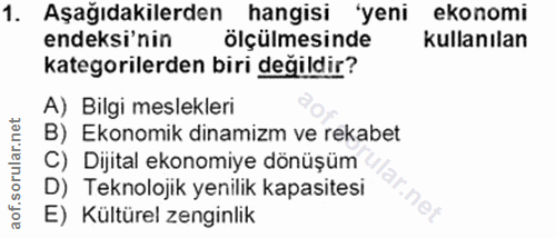 1. soru: Aşağıdakilerden hangisi 'yeni ekonomi endeksi'nin ölçülmesinde kullanılan kategorilerden biri değildir? A) Bilgi mesl…