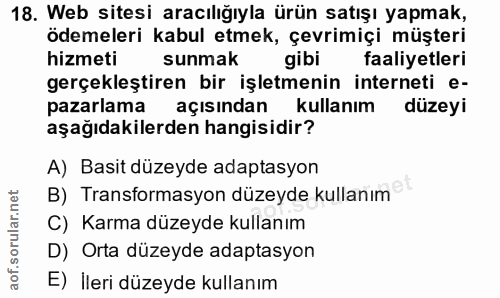 18. soru: Web sitesi aracılığıyla ürün satışı yapmak, ödemeleri kabul etmek, çevrimiçi müşteri hizmeti sunmak gibi faaliyetleri…