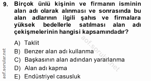 9. soru: Birçok ünlü kişinin ve firmanın isminin alan adı olarak alınması ve sonrasında bu alan adlarının ilgili şahıs ve firm…