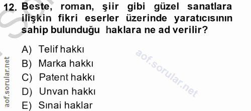 12. soru: Beste, roman, şiir gibi güzel sanatlara ilişkin fikri eserler üzerinde yaratıcısının sahip bulunduğu haklara ne ad ve…