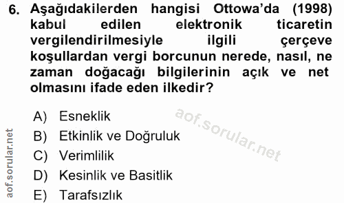 6. soru: Aşağıdakilerden hangisi Ottowa'da (1998) kabul edilen elektronik ticaretin vergilendirilmesiyle ilgili çerçeve koşull…