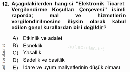 12. soru: Aşağıdakilerden hangisi "Elektronik Ticaret: Vergilendirme Koşulları Çerçevesi" isimli raporda; mal ve hizmetlerin ve…
