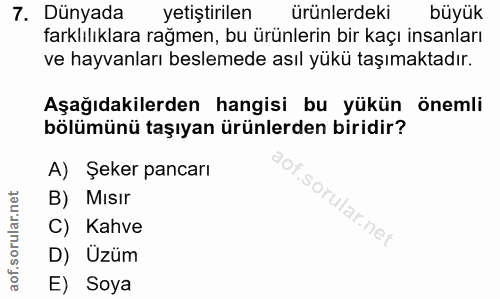 7. soru: Dünyada yetiştirilen ürünlerdeki büyük farklılıklara rağmen, bu ürünlerin bir kaçı insanları ve hayvanları beslemede…
