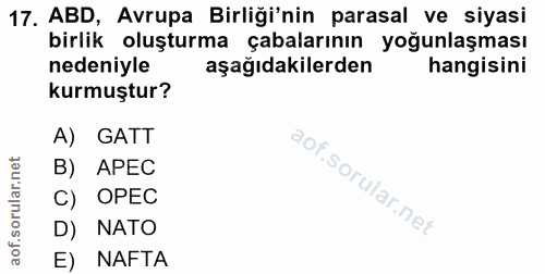 17. soru: ABD, Avrupa Birliği'nin parasal ve siyasi birlik oluşturma çabalarının yoğunlaşması nedeniyle aşağıdakilerden hangisi…