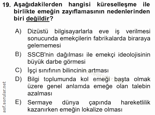 19. soru: Aşağıdakilerden hangisi küreselleşme ile birlikte emeğin zayıflamasının nedenlerinden biri değildir? A) Dizüstü bilgi…