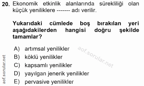 20. soru: Ekonomik etkinlik alanlarında sürekliliği olan küçük yeniliklere -- -- adı verilir. Yukarıdaki cümlede boş bırakılan…