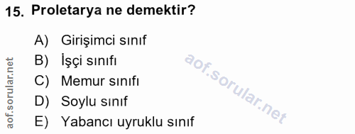 15. soru: Proletarya ne demektir? A) Girişimci sınıf B) İşçi sınıfı C) Memur sınıfı D) Soylu sınıf E) Yabancı uyruklu sınıf