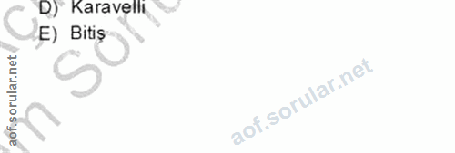 8. soru: D) Karavelli (E) S0 Bitiş