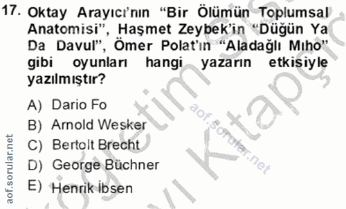 17. soru: Oktay Arayıcı'nın "Bir Ölümün Toplumsal Anatomisi" , Haşmet Zeybek'in "Düğün Ya Da Davul", Ömer Polatin "Aladağlı Min…