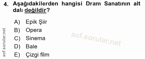 4. soru: Aşağıdakilerden hangisi Dram Sanatının alt dalı değildir? A) Epik Şiir B) Opera C) Sinema D) Bale E) Çizgi film