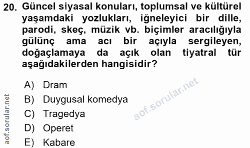 20. soru: Güncel siyasal konuları, toplumsal ve kültürel yaşamdaki yozlukları, iğneleyici bir dille, parodi, skeç, müzik vb. bi…