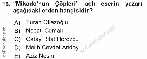 18. soru: "Mikado'nun Çöpleri" adlı eserin yazarı aşağıdakilerden hangisidir? A) Turan Oflazoğlu B) Necati Cumalı C) Oktay Rifa…