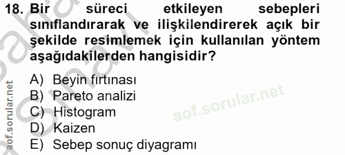 18. soru: Bir süreci etkileyen sebepleri sınıflandırarak ve ilişkilendirerek açık bir şekilde resimlemek için kullanılan yöntem…